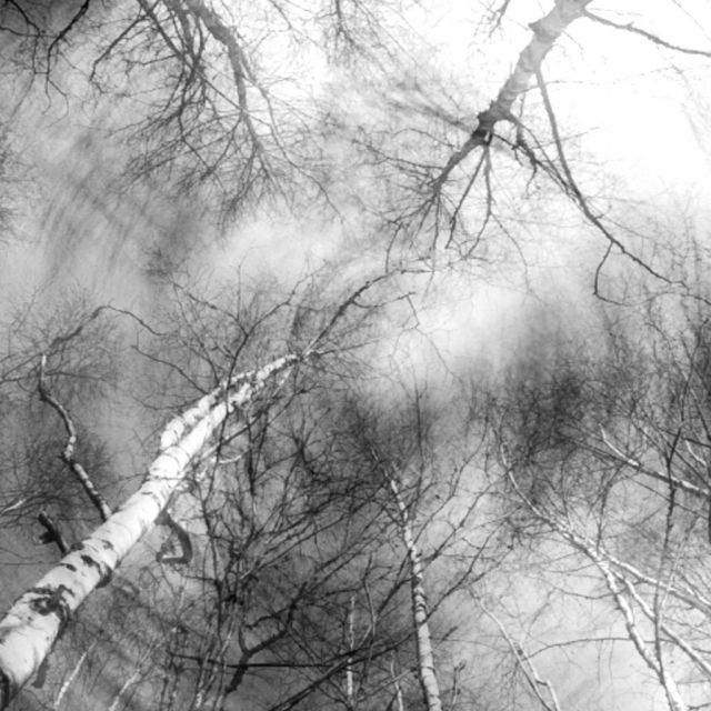 Photo 2011-10-29 15 13 40