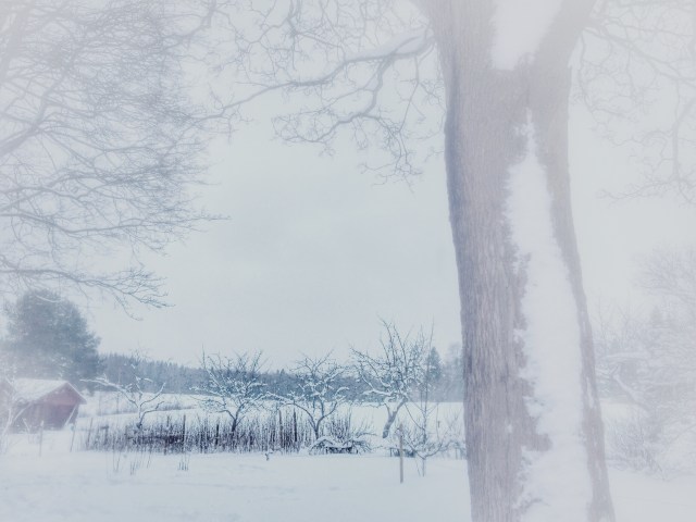 Processed with VSCOcam with m5 preset