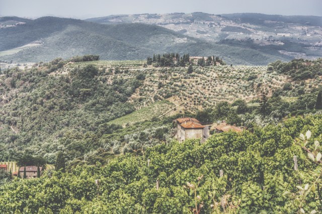 Processed with VSCOcam with t1 preset