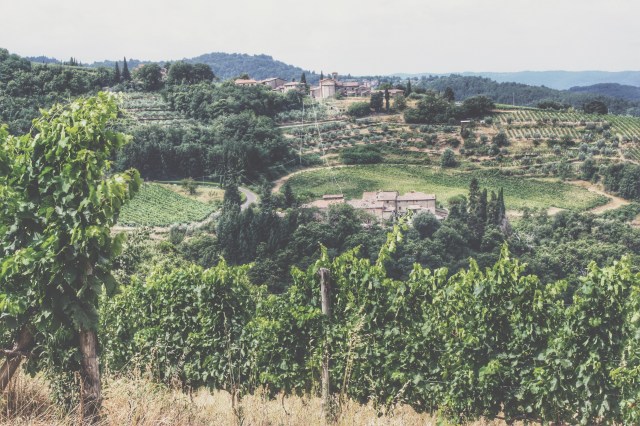 Processed with VSCOcam with t1 preset